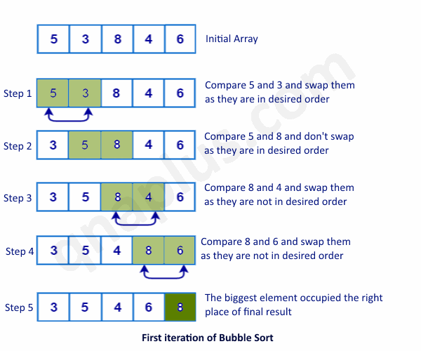 Bubble Sort  C Programming Example 